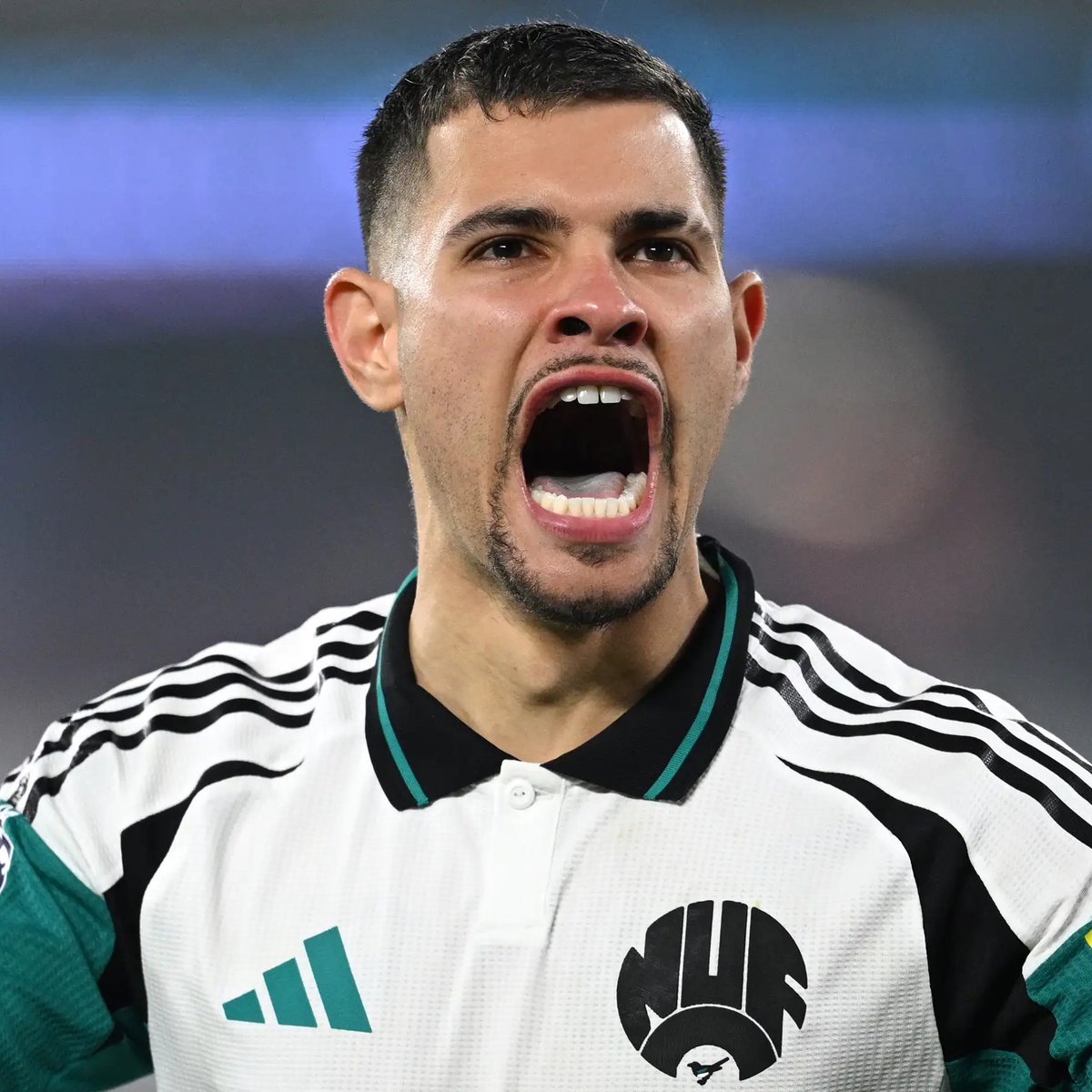 GOAL ZONE tweet media