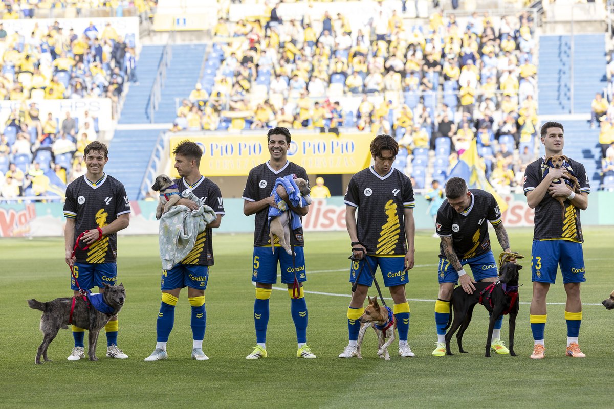 🐶💛 Mucho más que fútbol

Nuestra plantilla volvió a mostrar su lado más solidario para visibilizar la adopción responsable. Once perritos que buscan hogar, procedentes de ADA Gran Canaria y el Albergue de Animales de Telde, salieron junto al XI inicial del partido