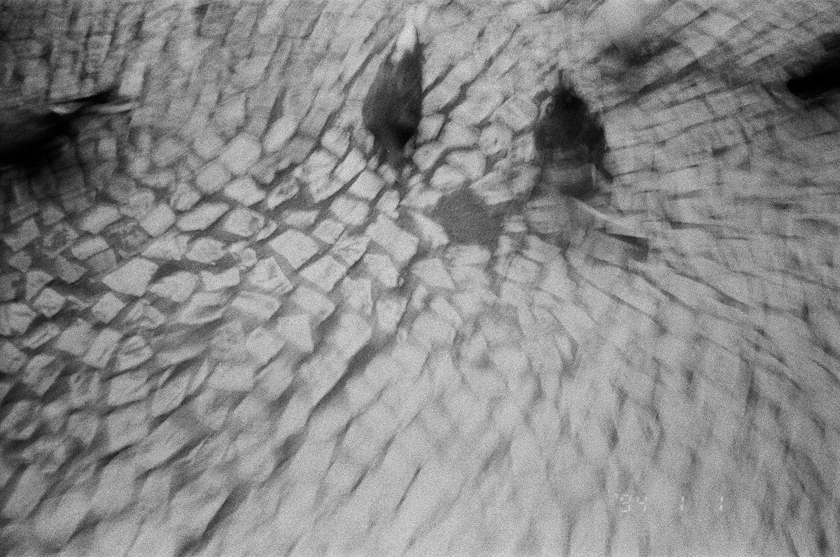 ⊥∀Ɔ tweet media