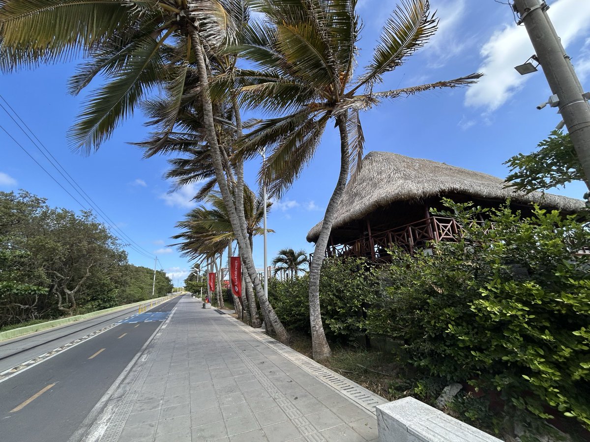 INDALECIO DANGOND tweet media