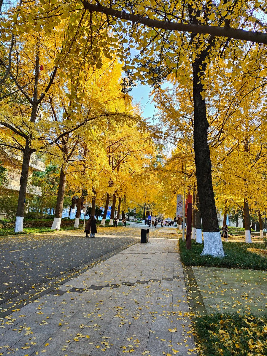 Stefan Grohs tweet media