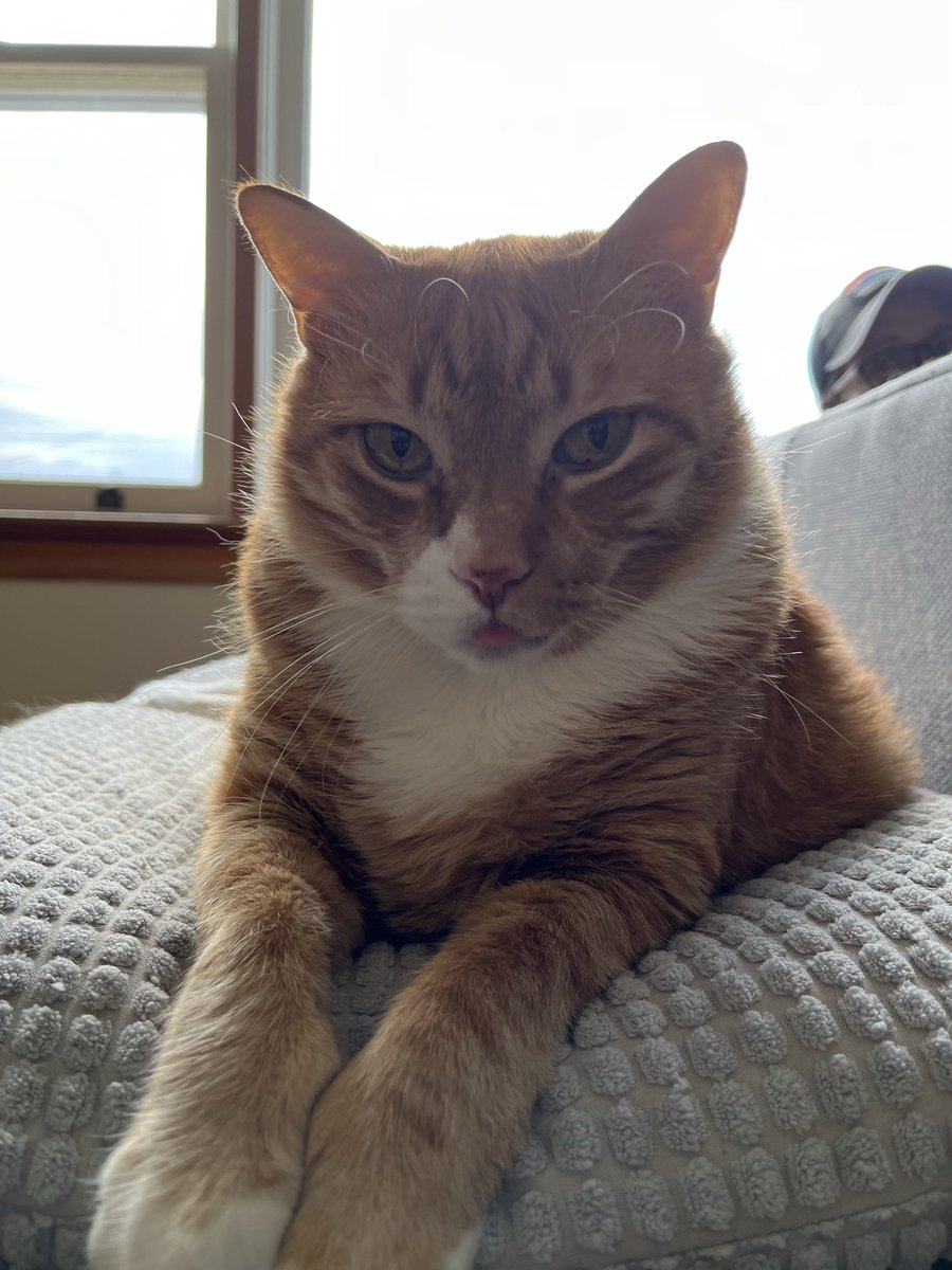 Valak 🗻 tweet media