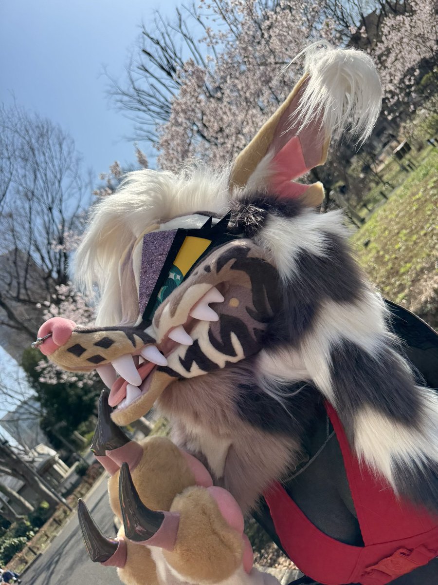 🥩 shuck hyena 🥩 in 🇯🇵 tweet media