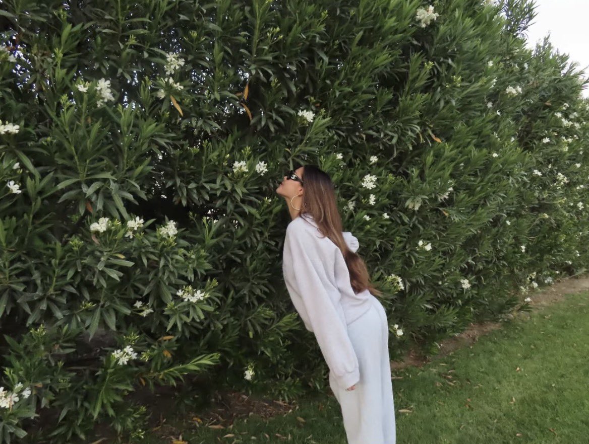 fiona 𑣿🦢 tweet media