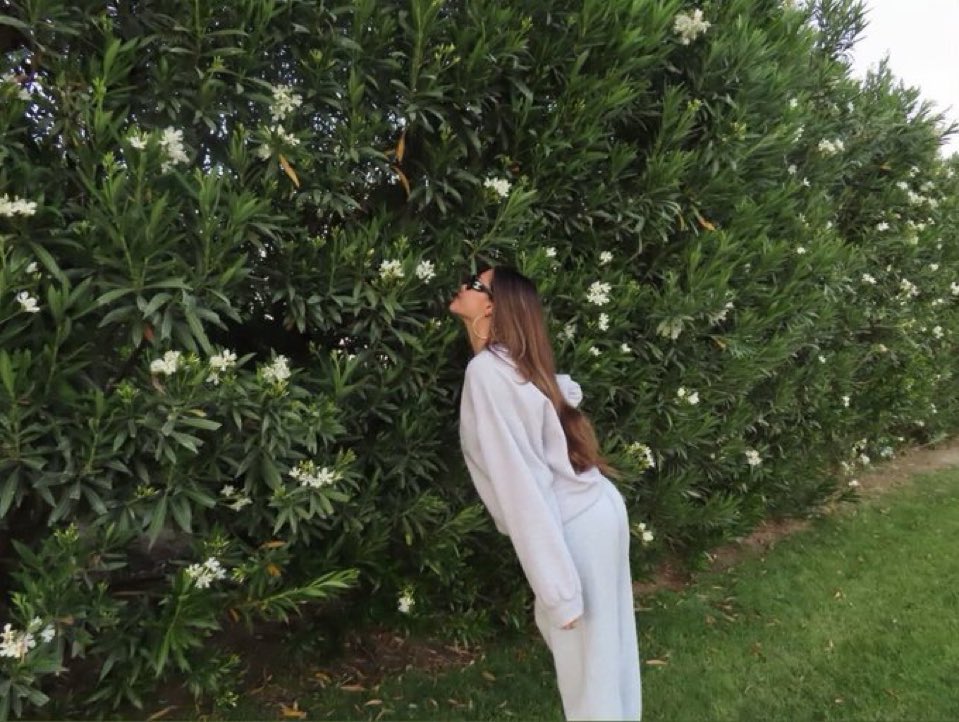 ang 𑣿 tweet media