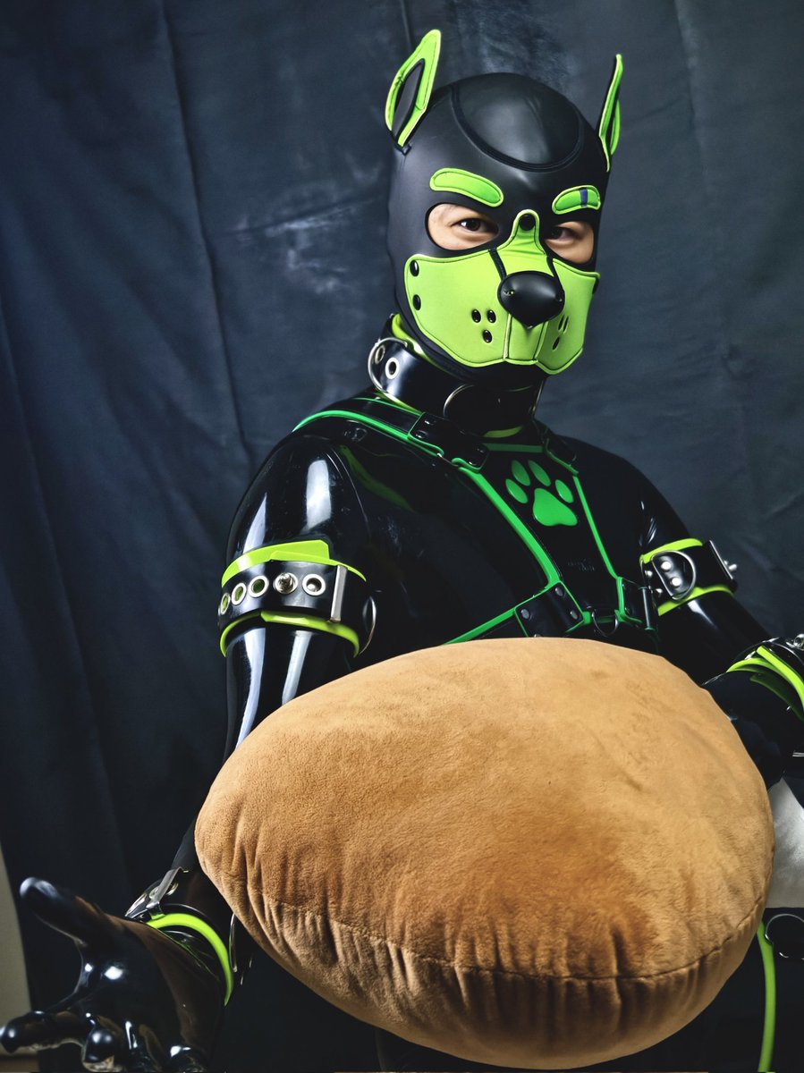 酱爆助助 tweet media