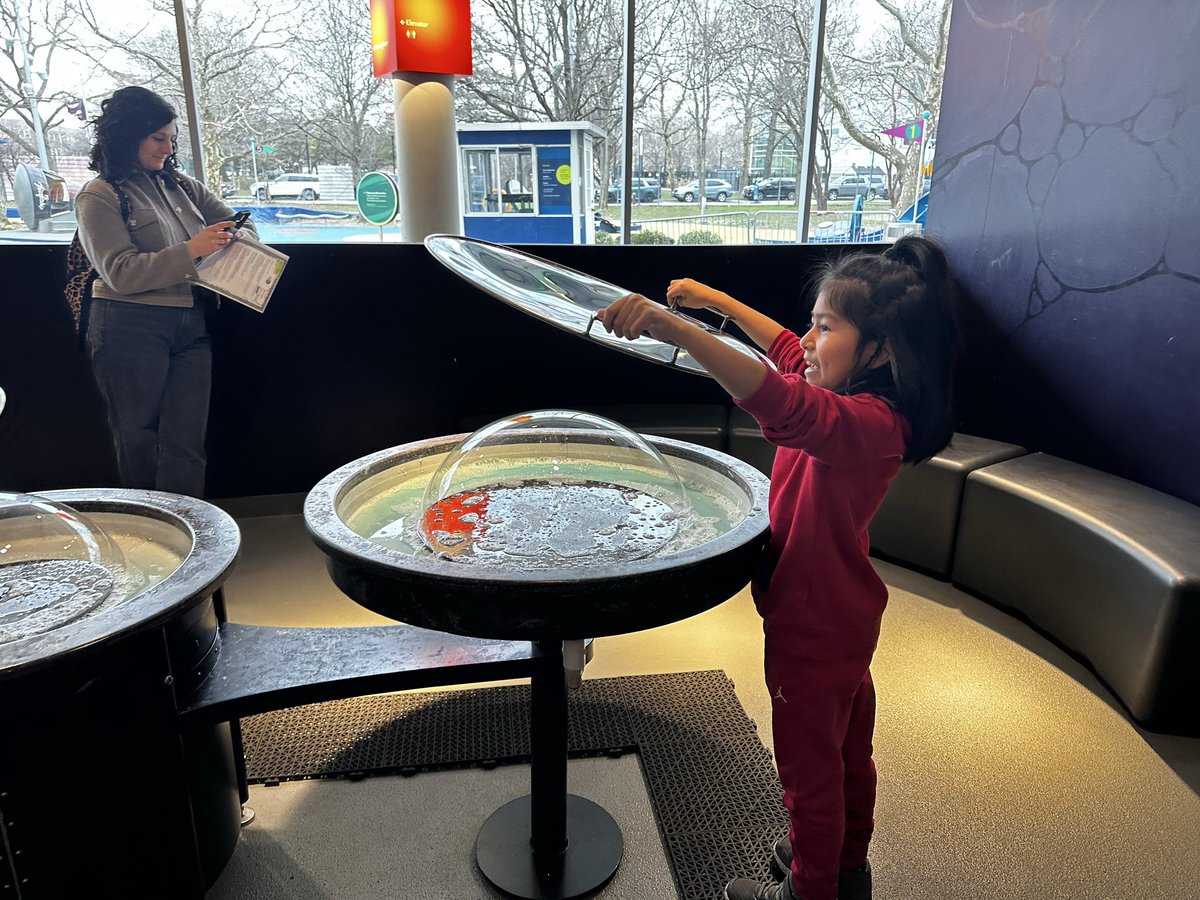 Ridgeway_WP's tweet image. 3rd Graders visiting the Hall of Science last week! 

#scienceisfun 
#WPPROUD

@DrJosephRicca 
@wplainsschools