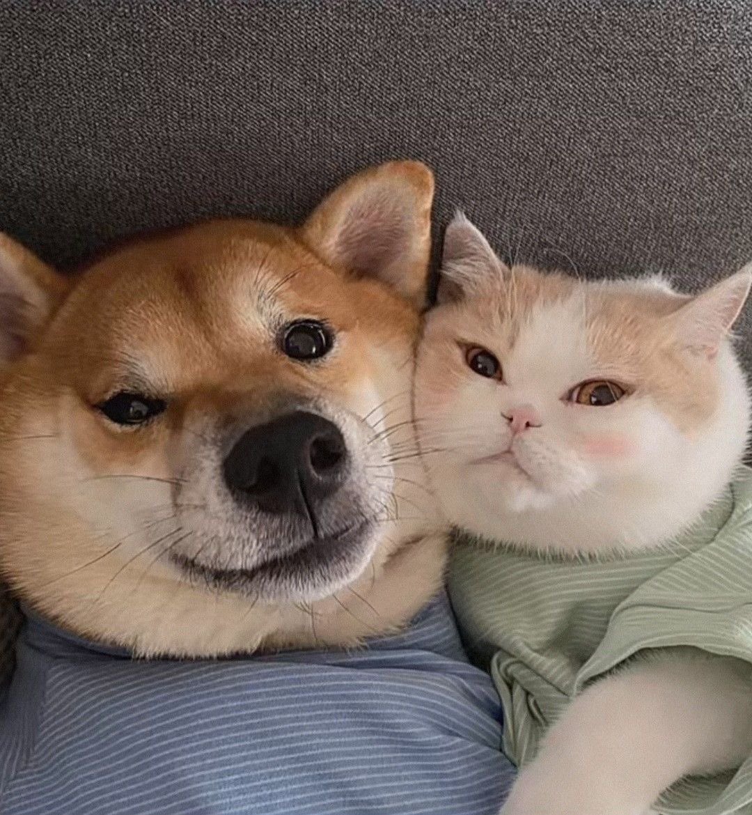 𝑮𝒊𝒏𝒖𝒂𝒓𝒚 (rest) tweet media