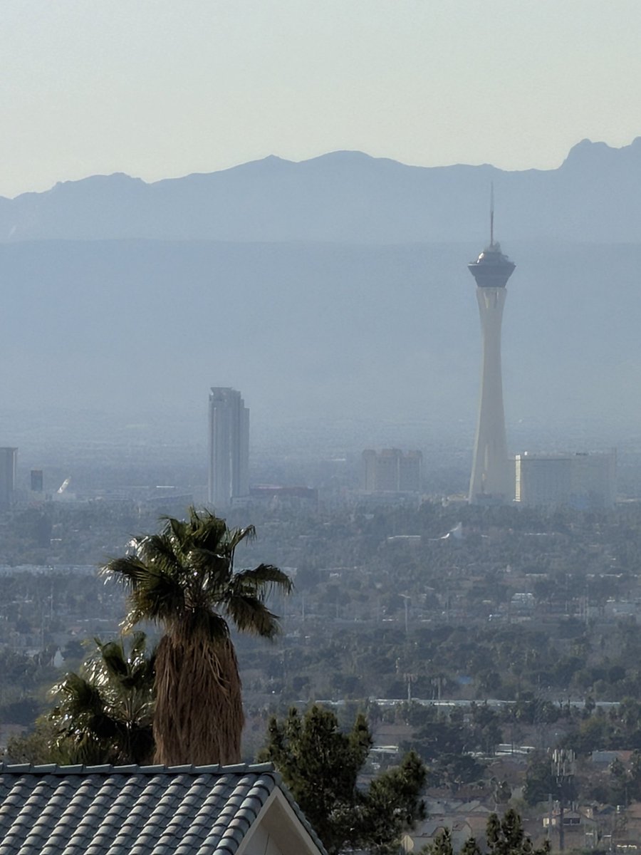 Las Vegas Locally 🌴 tweet media