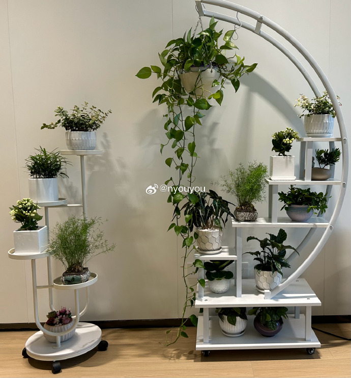 oh jkasghdsahgas tweet media