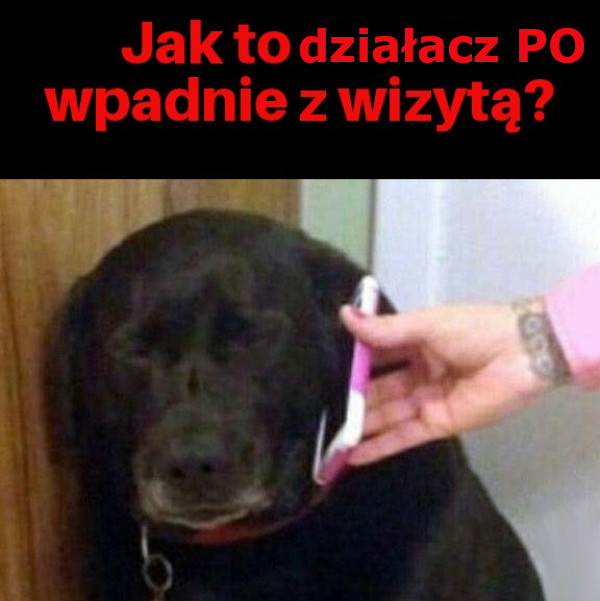 Darooo1991's tweet photo. @Dariusz_Jonski https://t.co/oRNr8wci1N