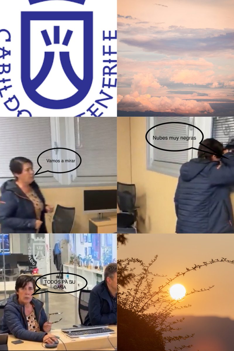 Richi Pinto tweet media