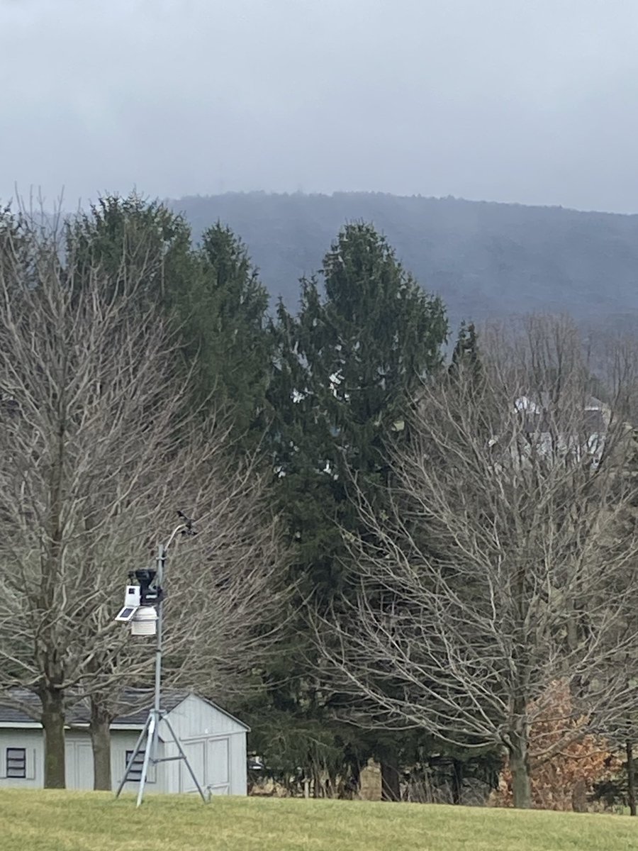 The American Storm tweet media