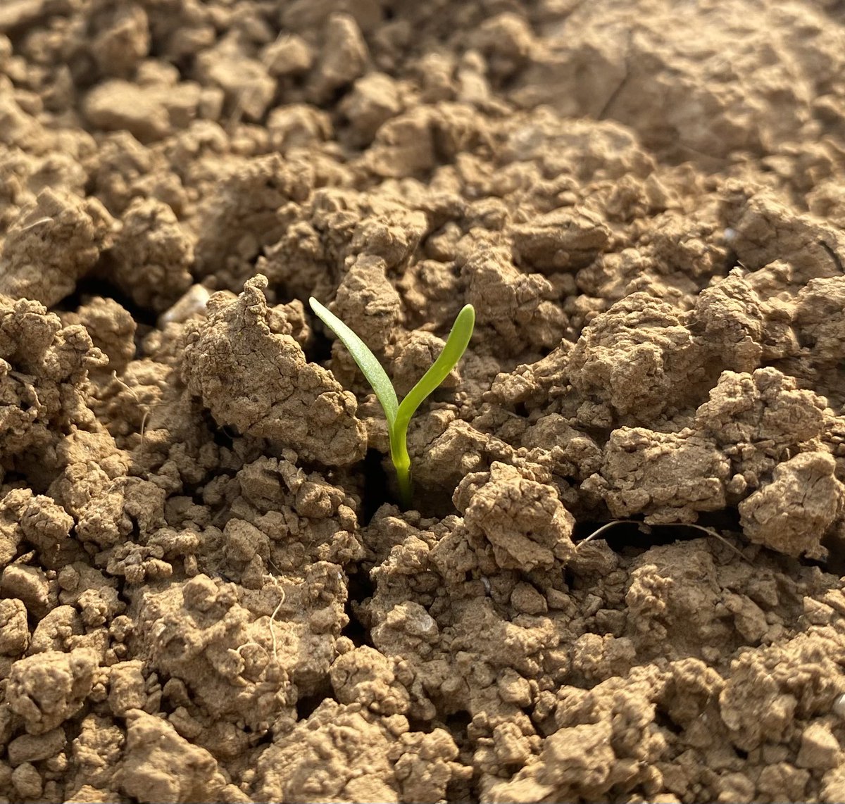 Loriette sebastien tweet media