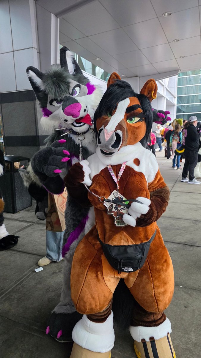 Daz 🐺💜 tweet media