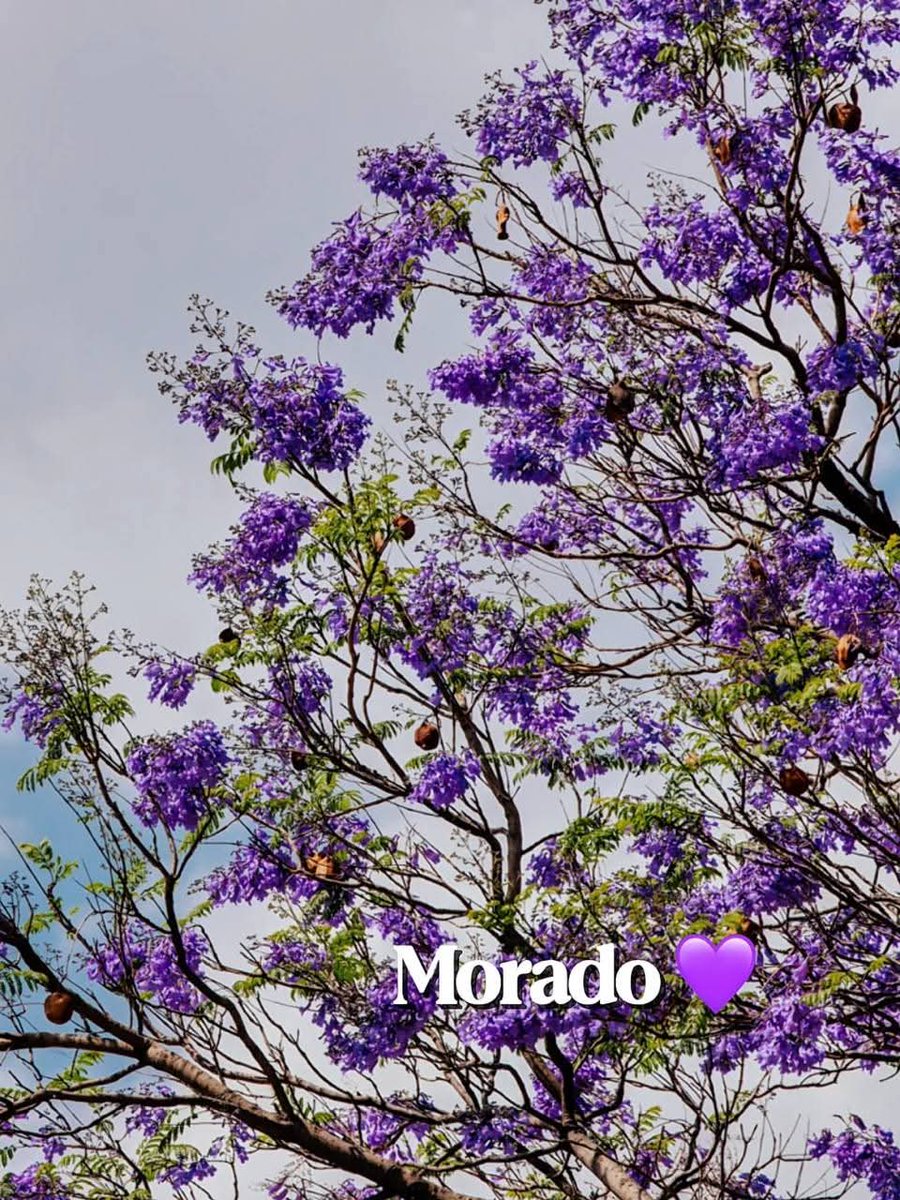 📍 Providencia Sur tweet media