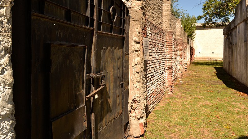 Huesos de clandestinidad en el cementerio de Avellaneda pelotadetrapo.org.ar/huesos-de-clan… La fosa común más grande del país dentro de un cementerio. Está en Avellaneda. Los restos de 336 personas fueron encontrados por el Equipo Argentino de Antropología Forense. Por Silvana Melo