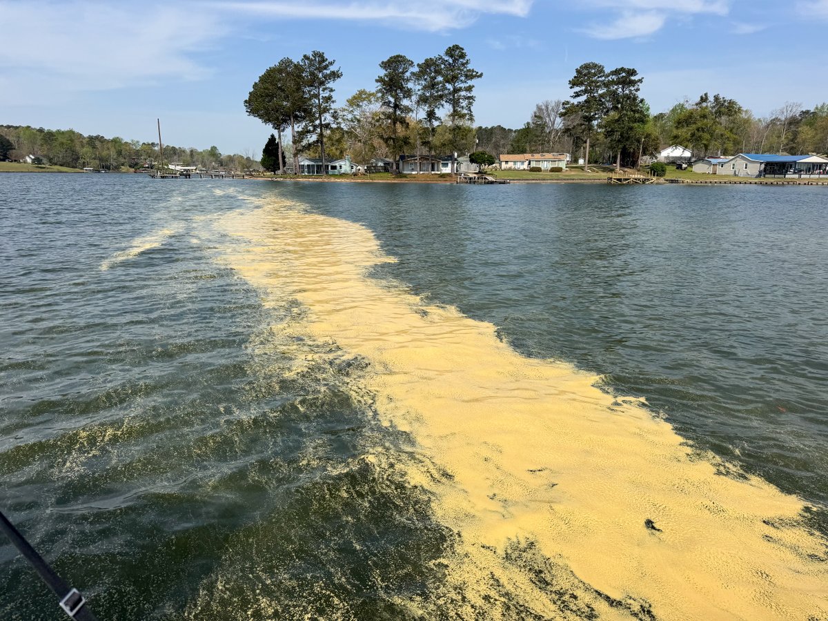 GreenwoodCountySC tweet media