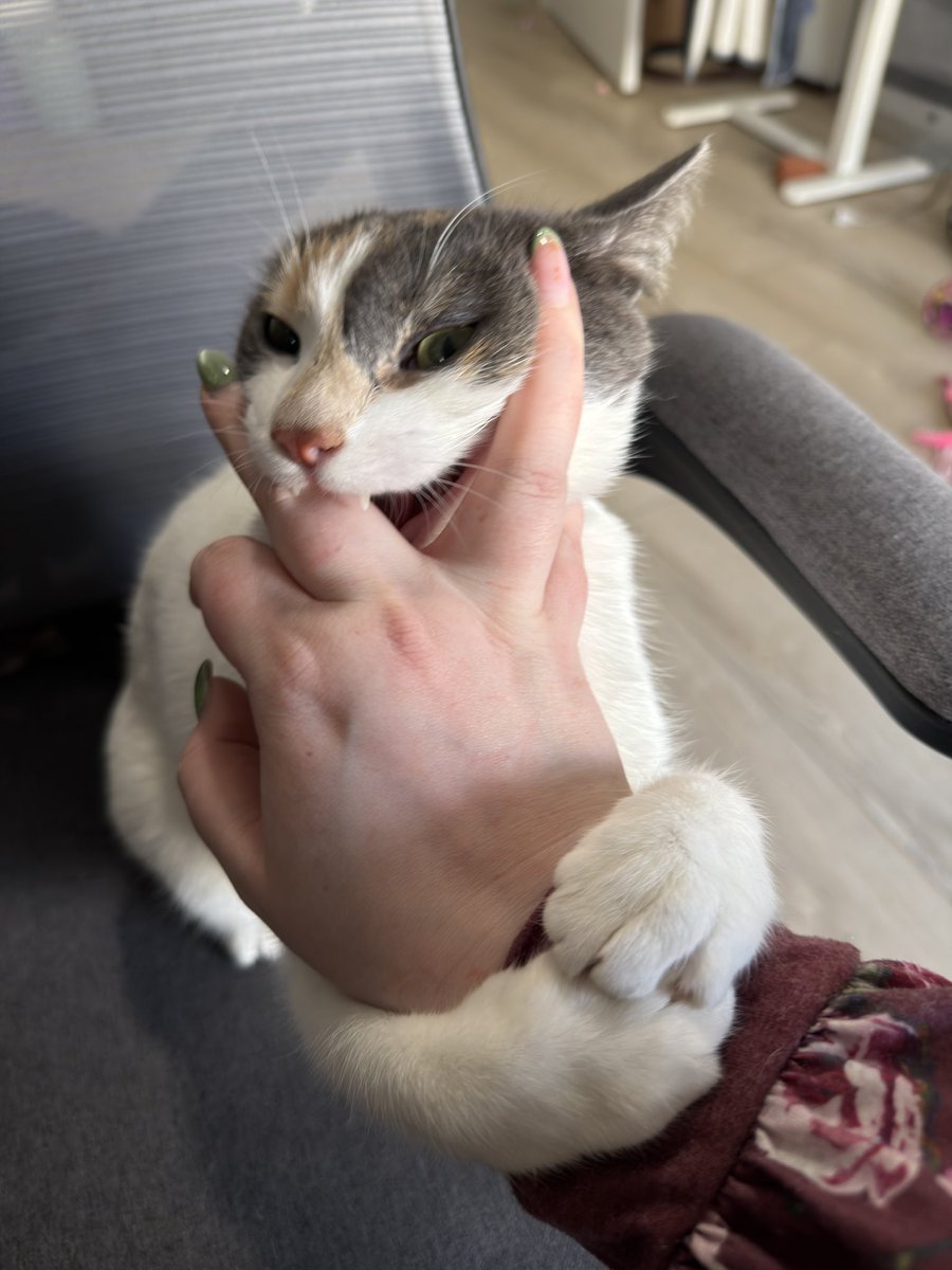 casey⸆⸉ ✿ ❤️‍🔥 tweet media