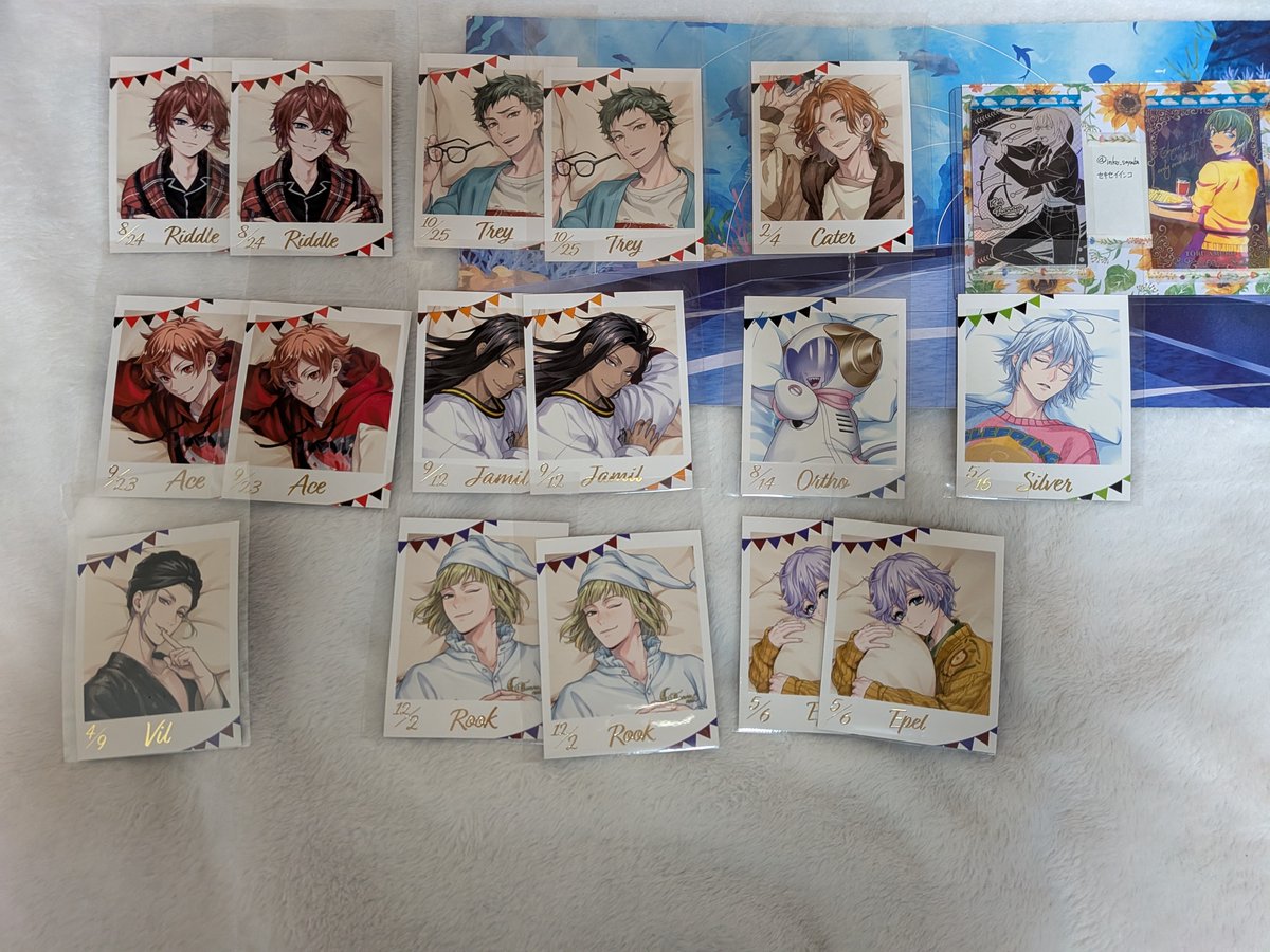 セキセイインコ tweet media