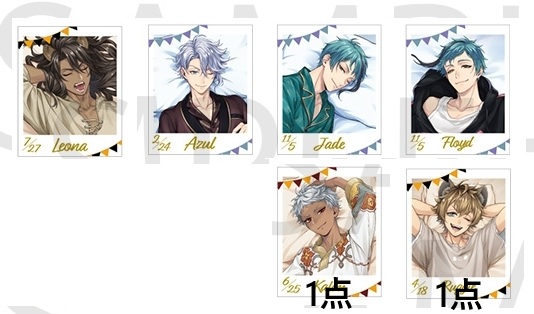 セキセイインコ tweet media