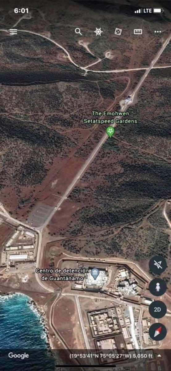 LaylaPatriot4Trump tweet media