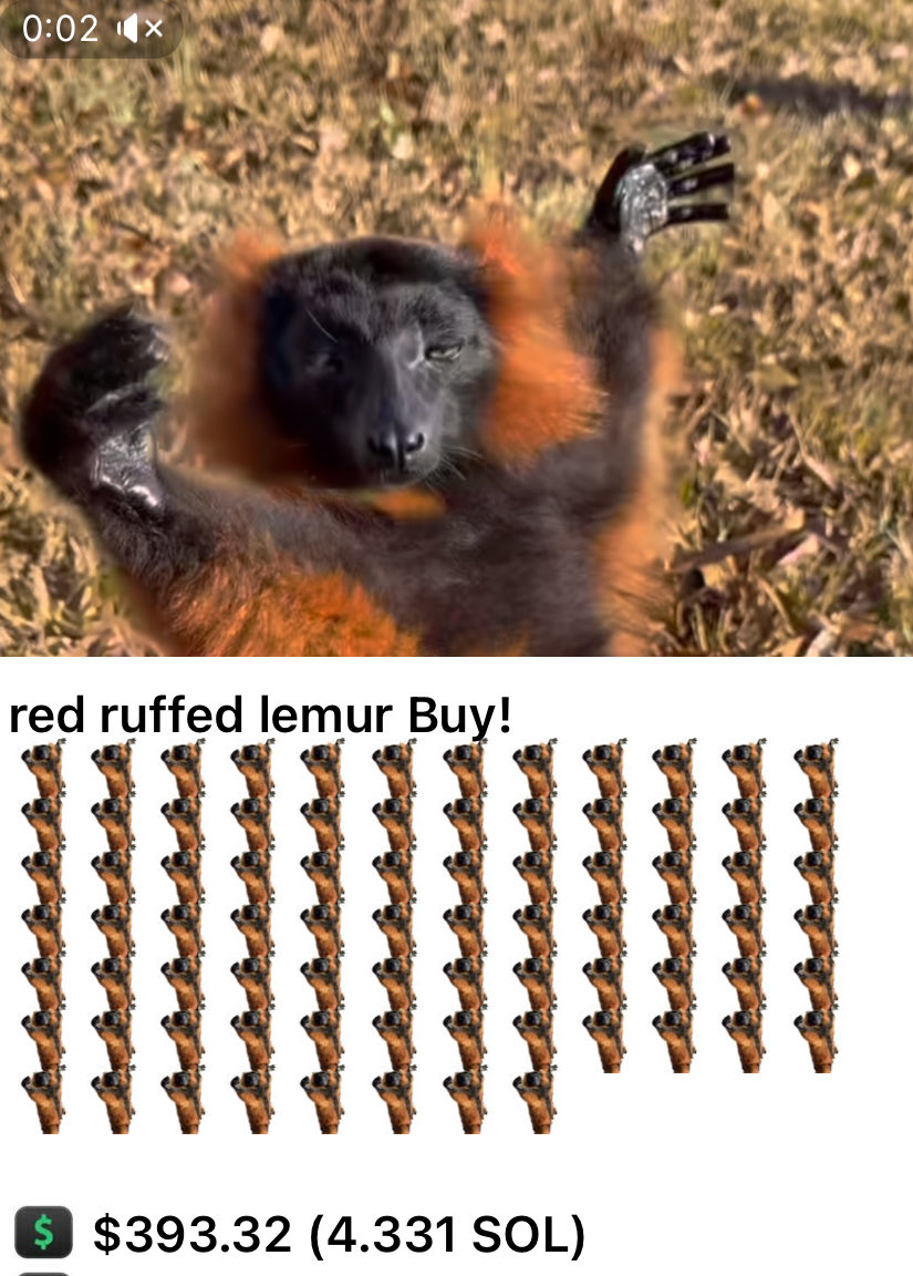 Chadly Bradly IV 🤷🏼‍♂️ tweet media