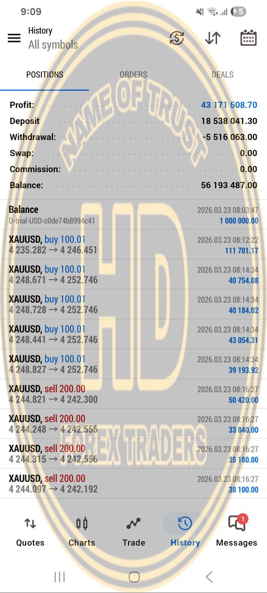 HD Forex Traders tweet media