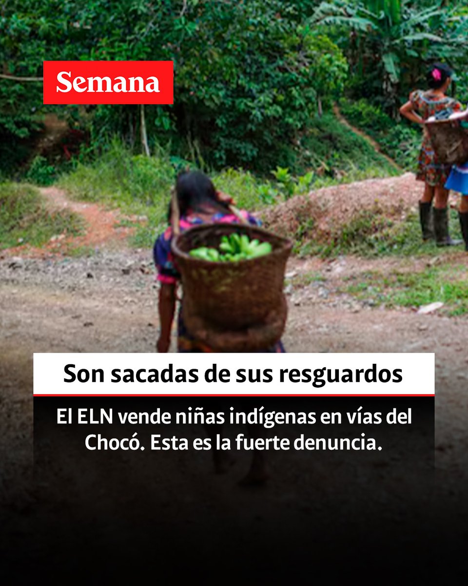 DEISY DORELLY GUANARO tweet media