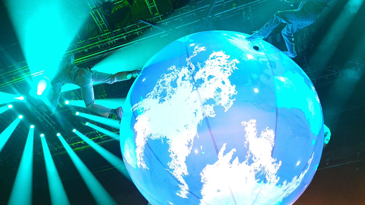 SEK TeddyWolf ® tweet media