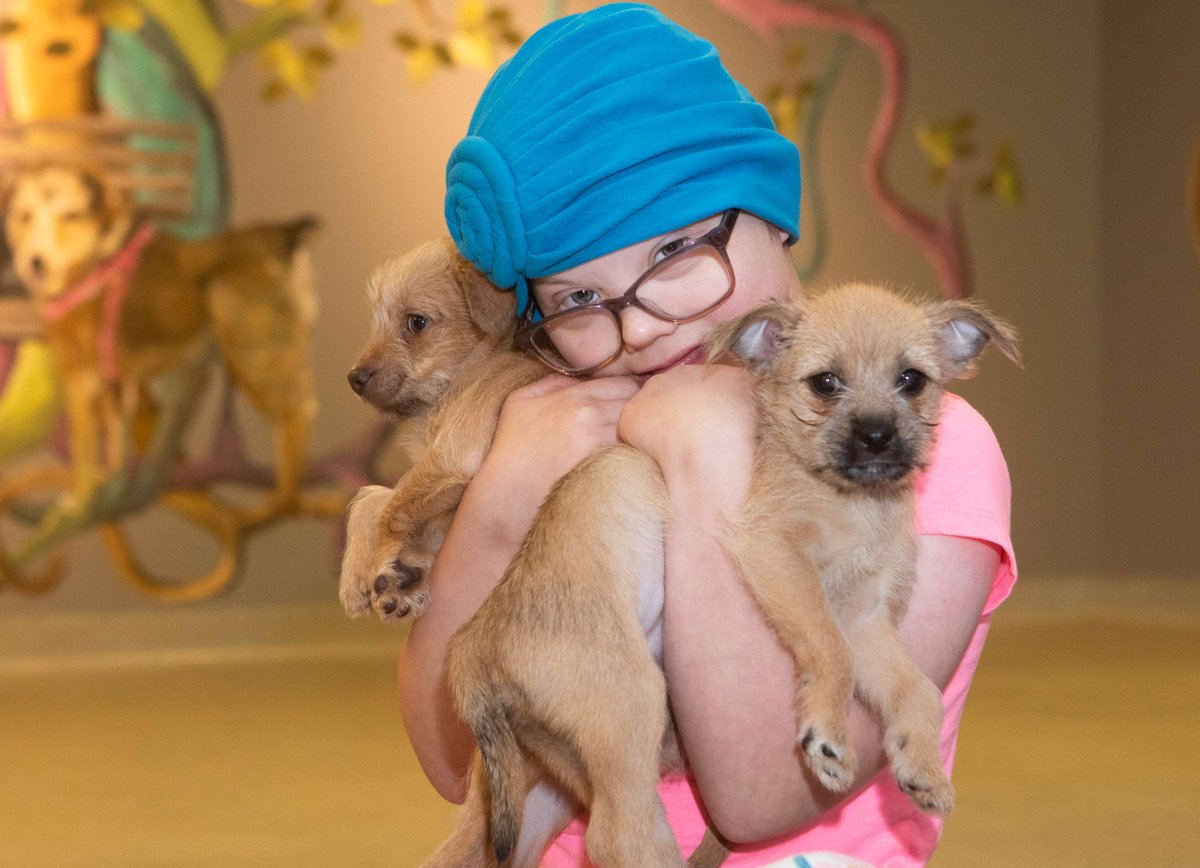 Pujols Foundation tweet media