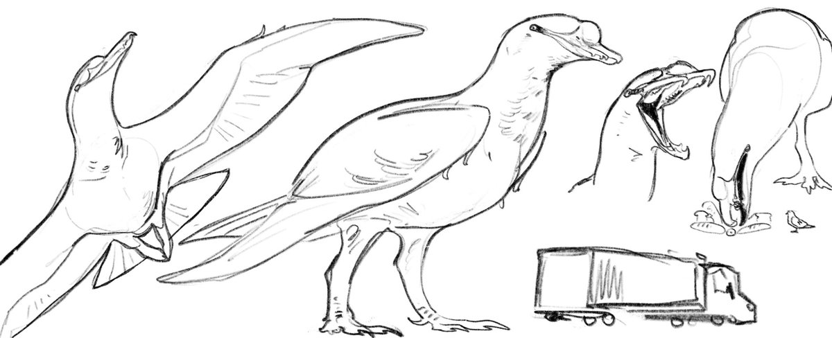 Kira Zhuravel 🇺🇦 tweet media