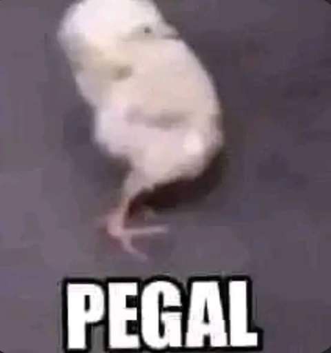 Alvanderriel tweet media