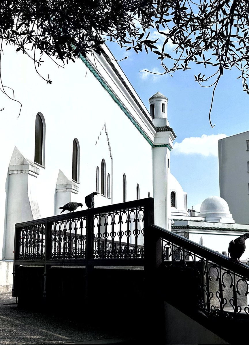 Paulette à bicyclette tweet media