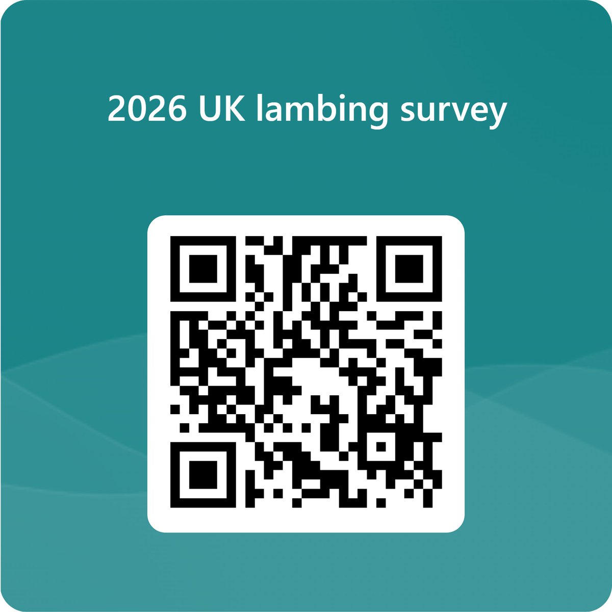 Sheep Veterinary Soc tweet media