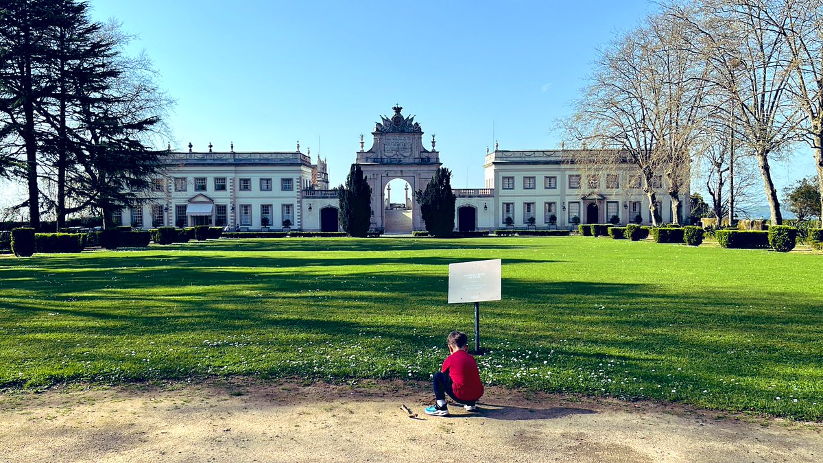 Simerazzi tweet media