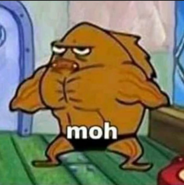 olio🐨🌱🦄 tweet media