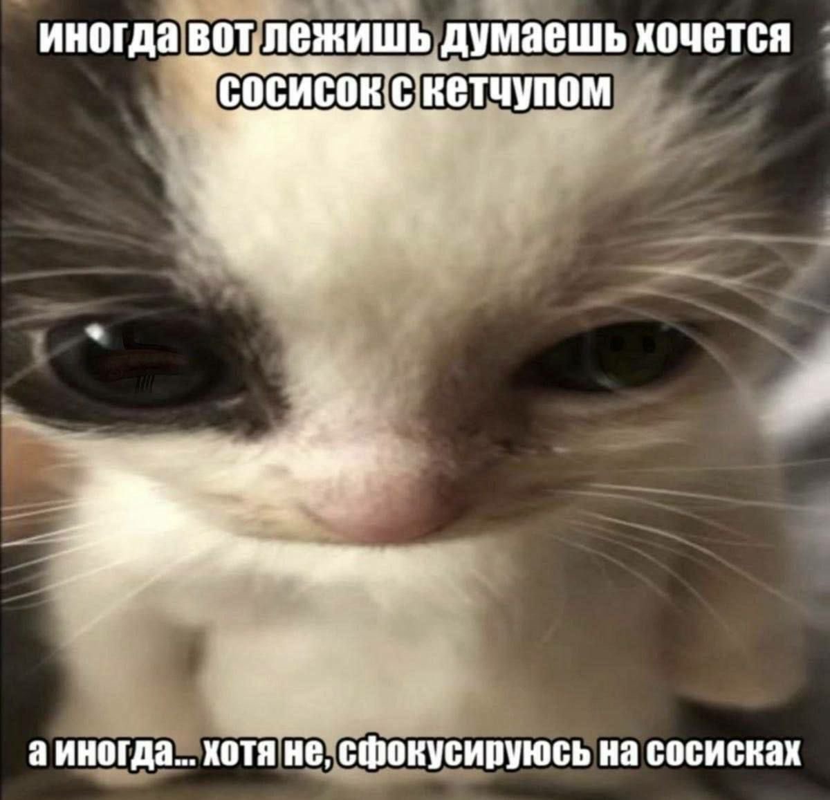 К И Б Е Р Ж Р И Ц А tweet media