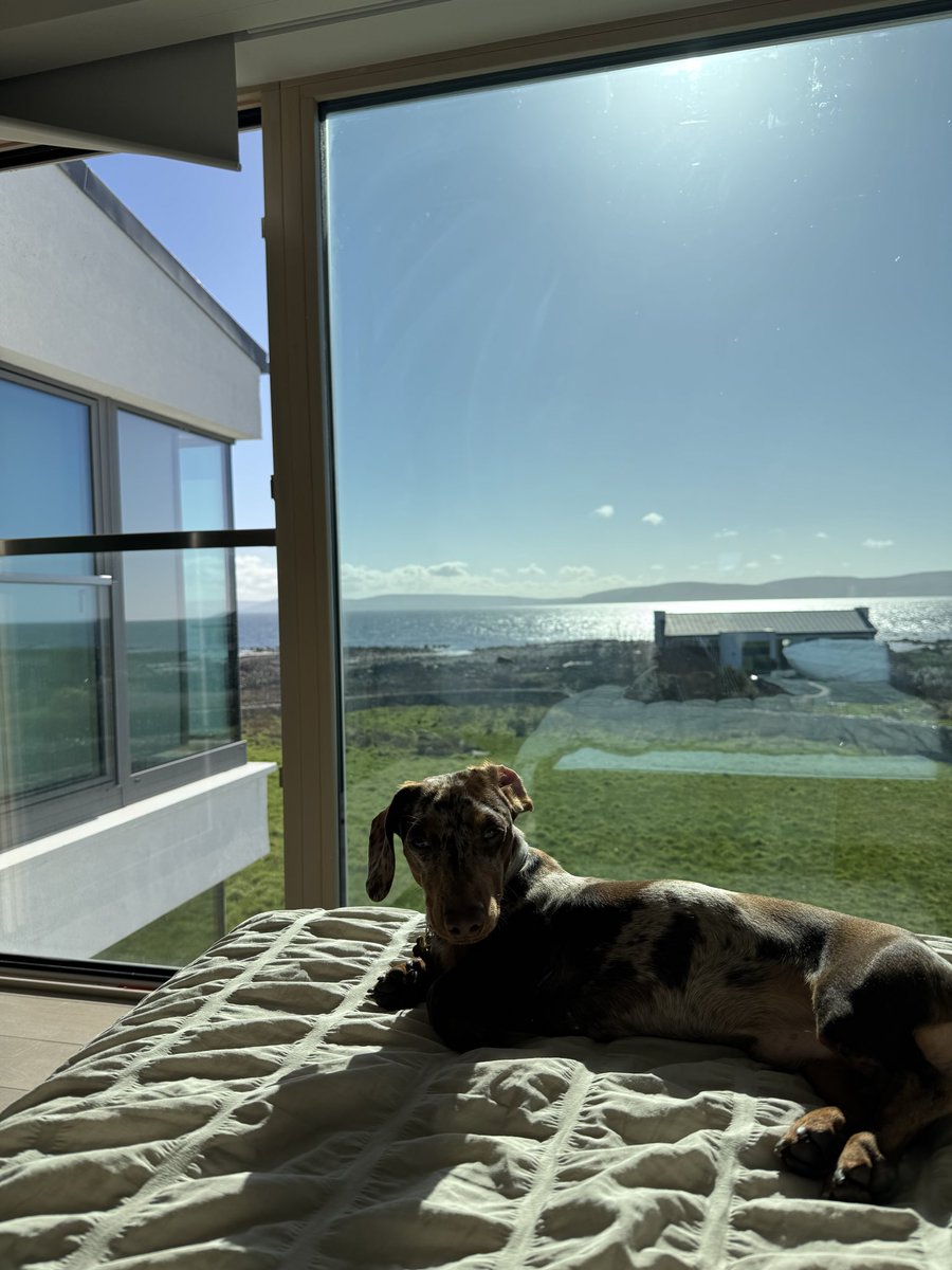 Jorge Rodríguez (Lince) tweet media