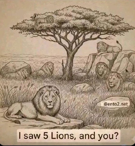 Fan Mazi Tuunde tweet media