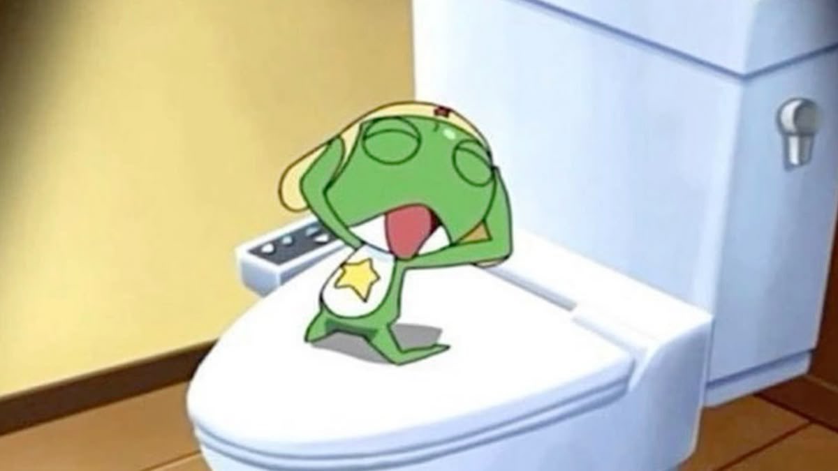 신정희 tweet media