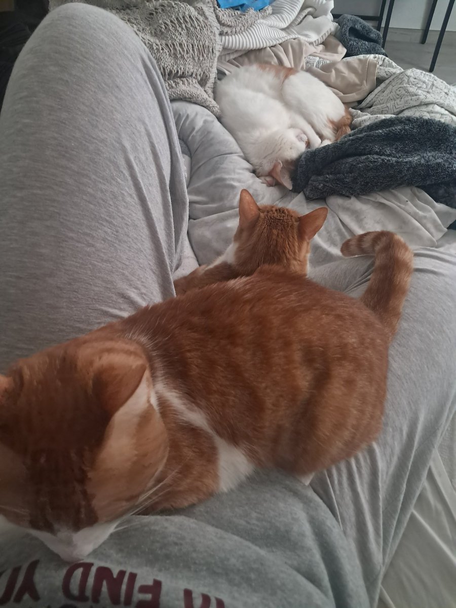 Estefanía🤍❤️ tweet media