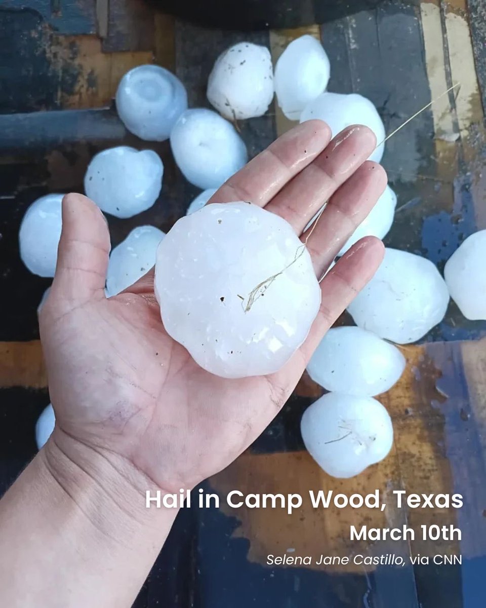 Climate Action Campaign tweet media