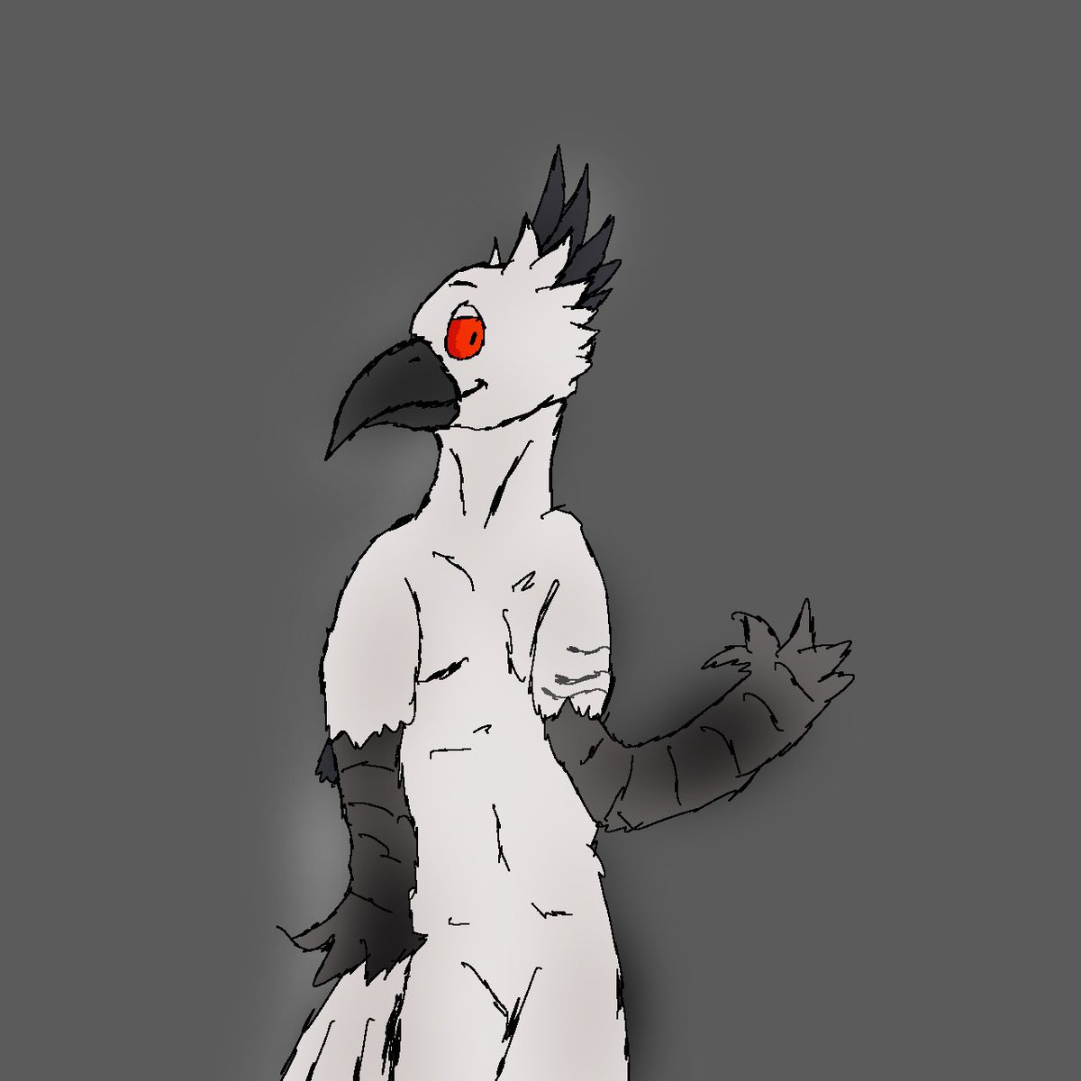 your #1 ostrich tweet media