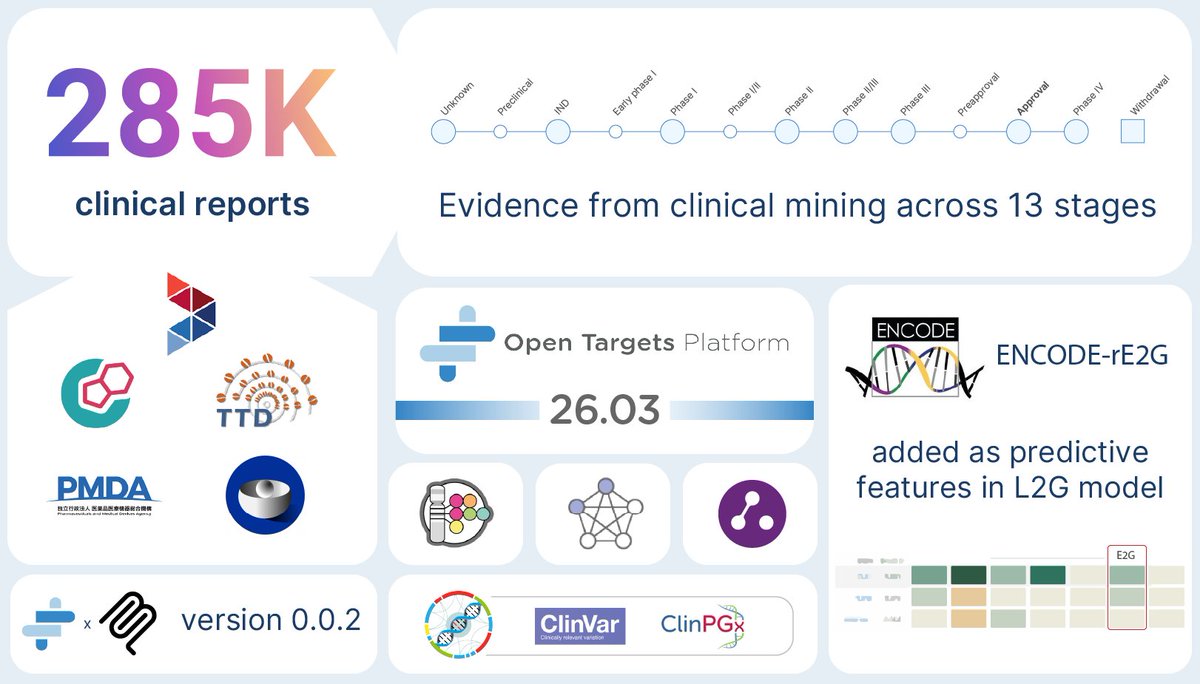 David Ochoa tweet media
