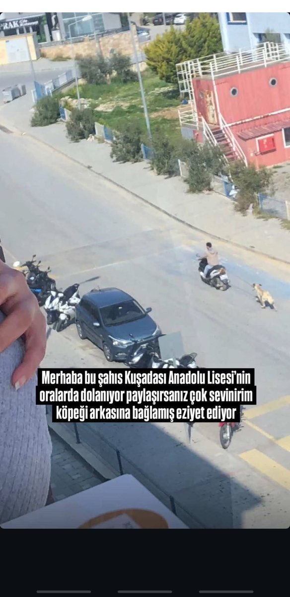 patili dostum😼🐕hak hukuk adalet tweet media