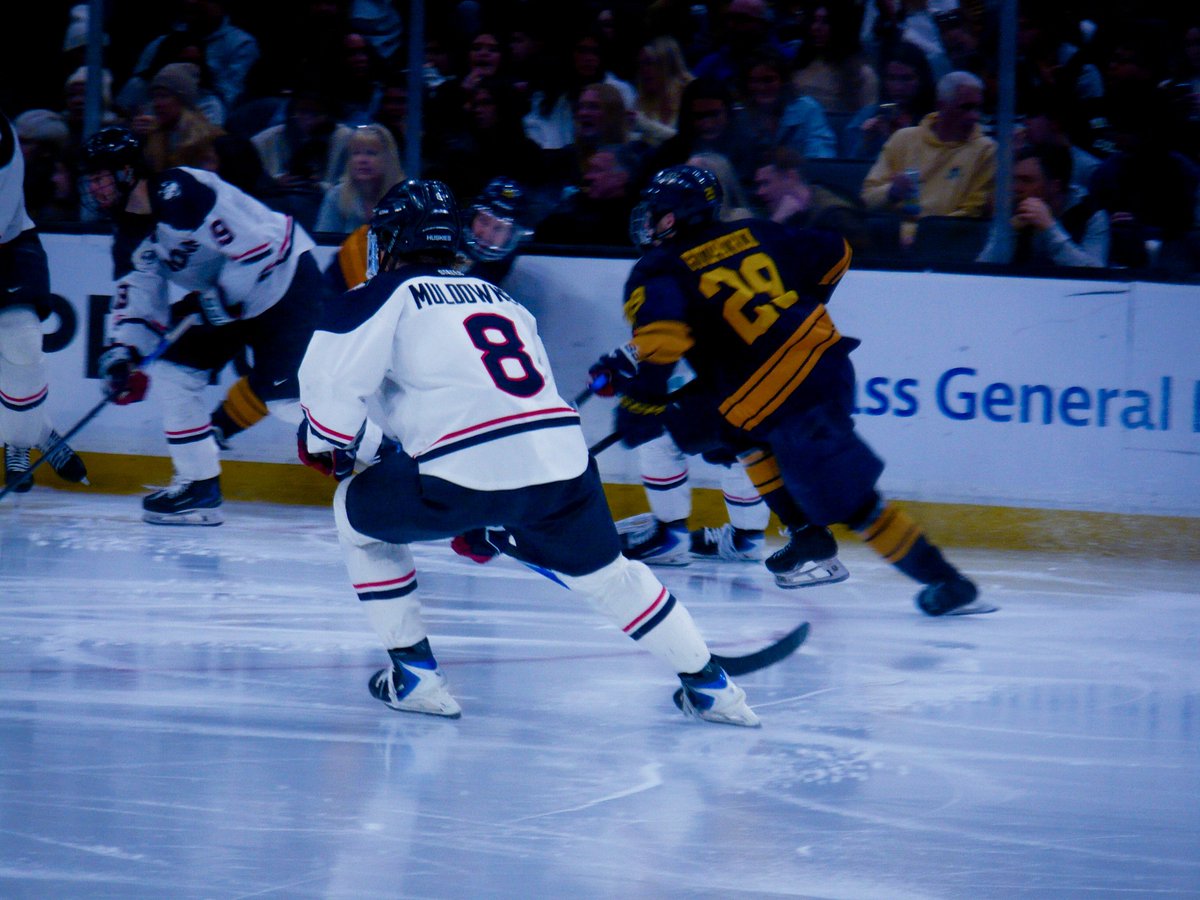 cier ୨୧ tweet media