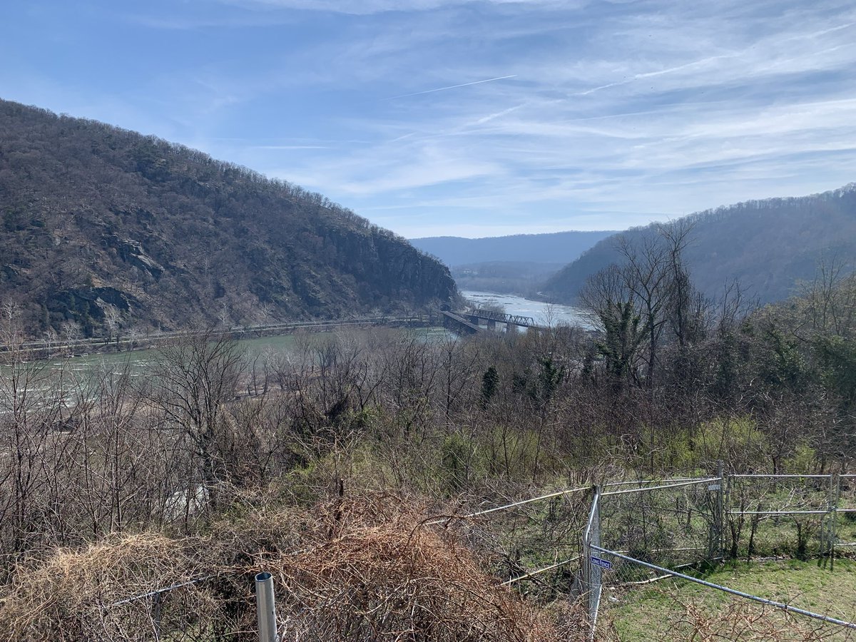 Jack Shaw tweet media