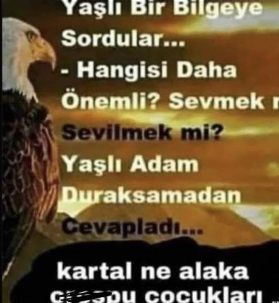 I actually don't know tweet media