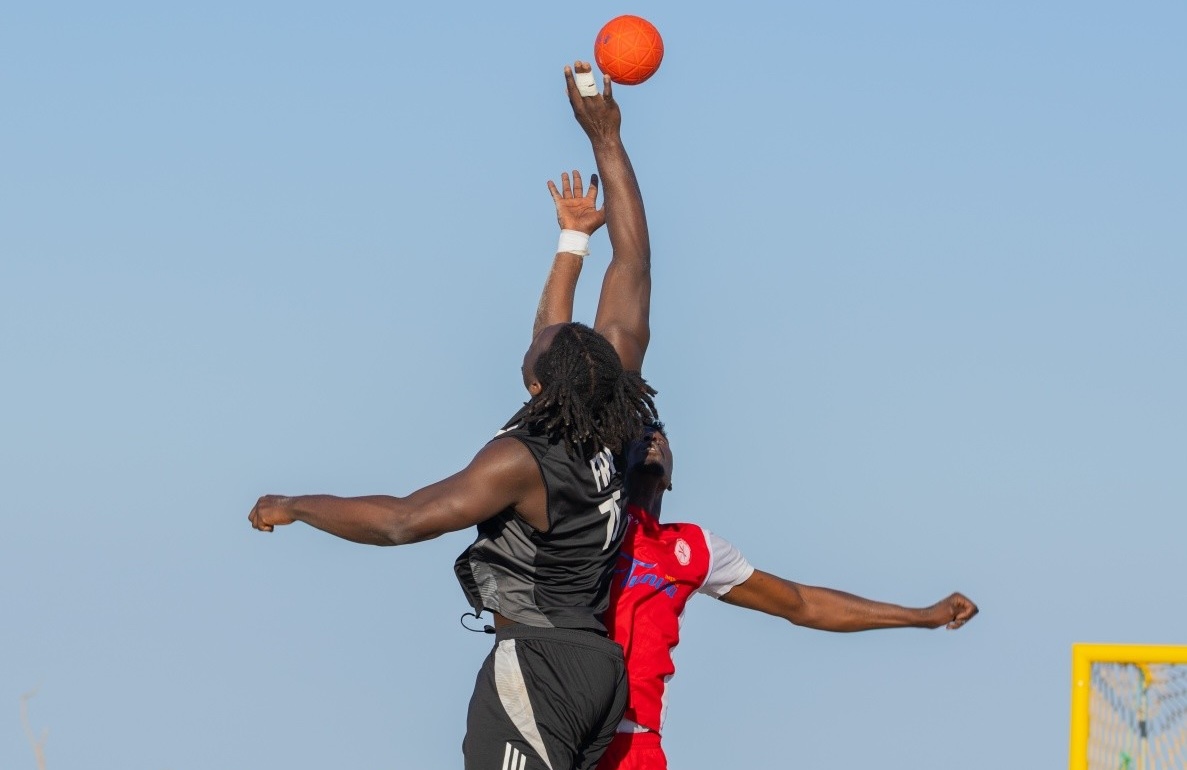 FFHandball tweet media